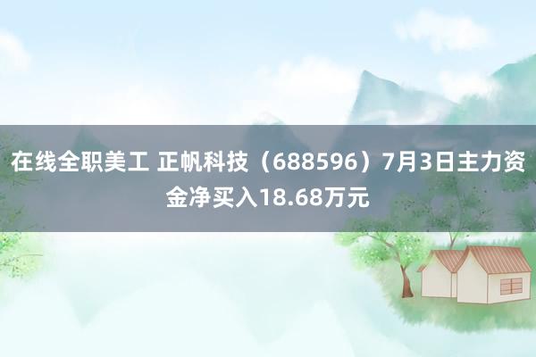 在线全职美工 正帆科技（688596）7月3日主力资金净买入18.68万元