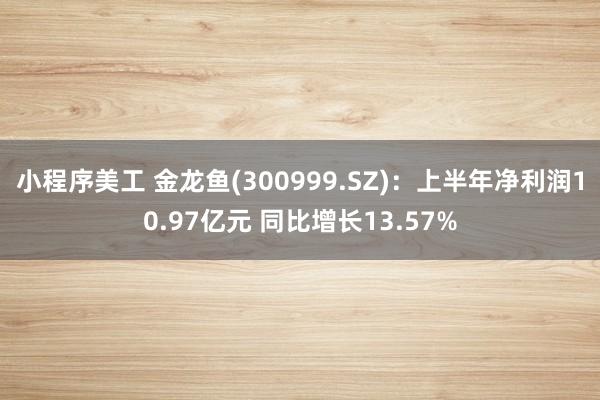 小程序美工 金龙鱼(300999.SZ)：上半年净利润10.97亿元 同比增长13.57%