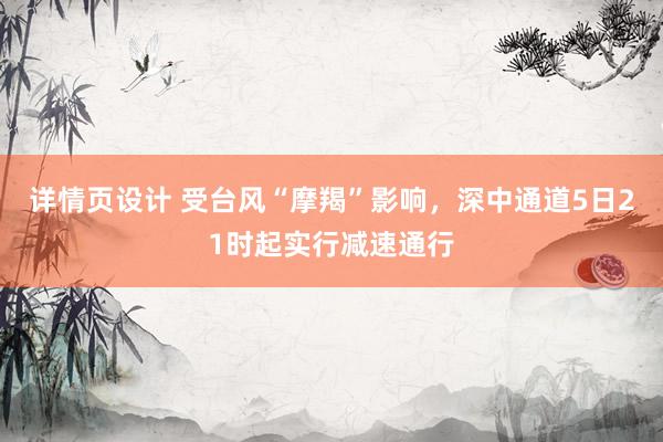 详情页设计 受台风“摩羯”影响，深中通道5日21时起实行减速通行